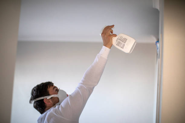 Best Best Mold Removal Companies  in Corunna, MI